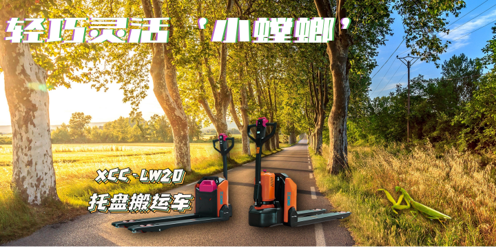 小螳螂